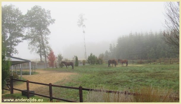herfsttij02