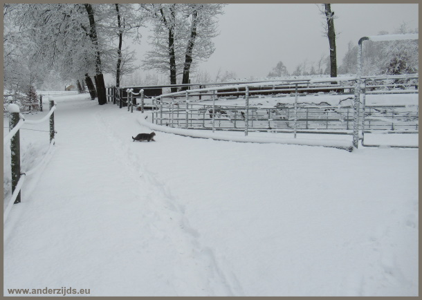oudjaarsneeuw