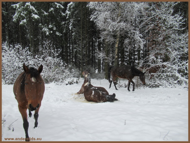 sneeuwdag01