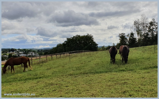 stripbegrazing