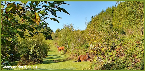 herfstcrossbaan
