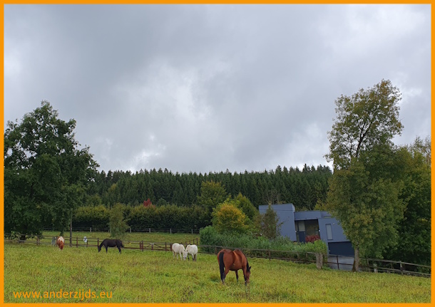olispaarden