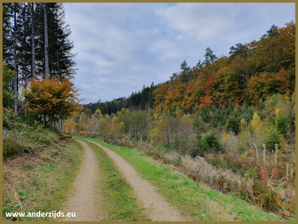 herfstkleur