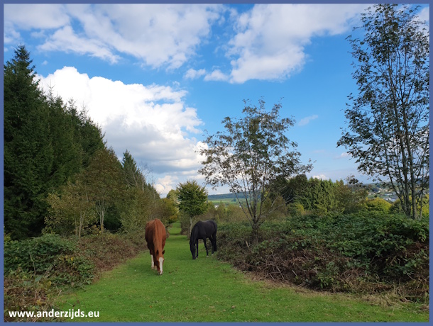 herfstweer