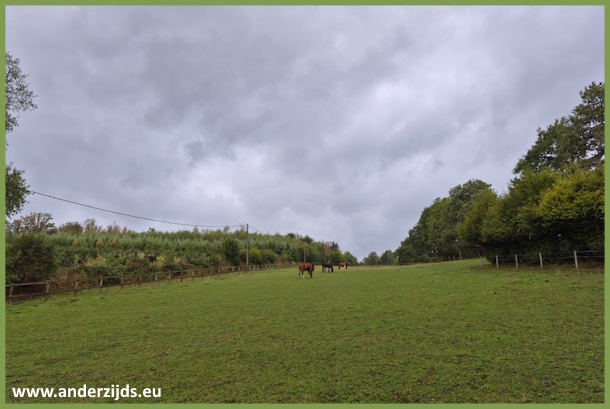 groener02